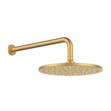 Душова лійка + кронштейн GRB Hydro Brushed Gold (05028707)